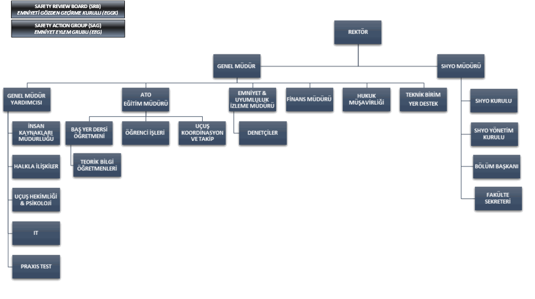 Organizasyon Şeması